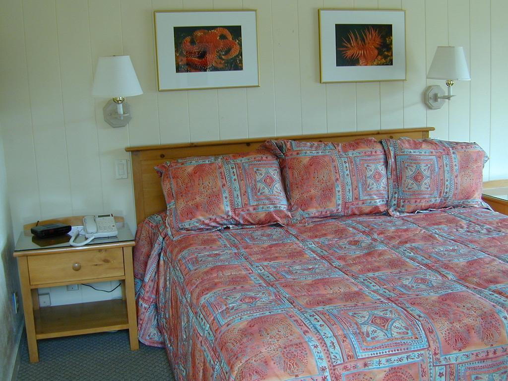 Beachcomber Inn Pacific Grove Oda fotoğraf
